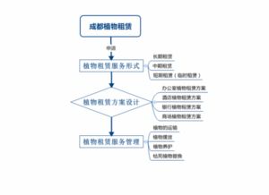 植物租赁的服务流程详解 轻松开启您的绿化之旅，享受专业的租赁服务